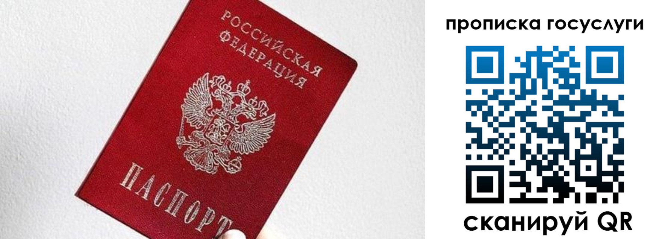 прописка законно в Ковдоре